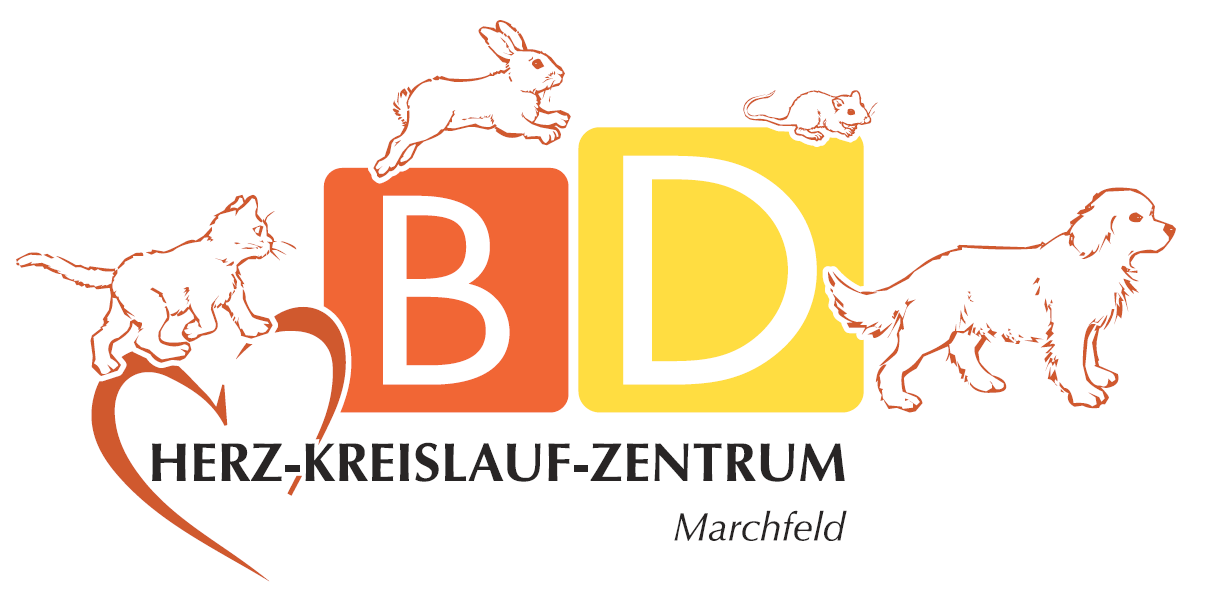 Tierarztpraxis Birgit Dumhart